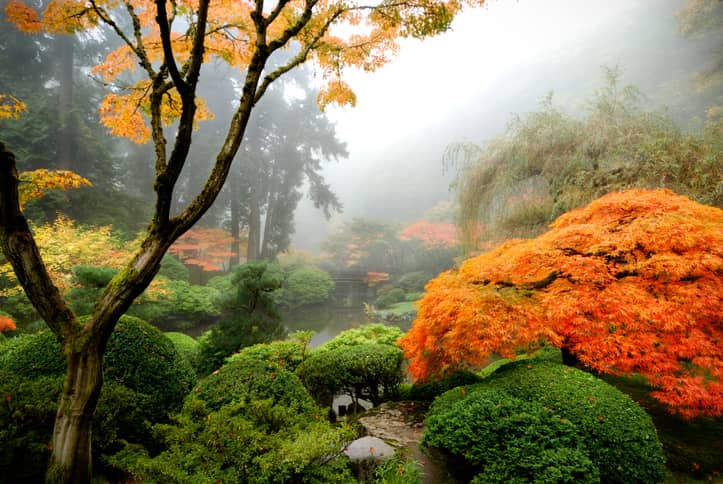 Japanese Garden in Portland Oregon